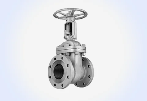 KSB Cast Steel Gate Valve Supplier in India