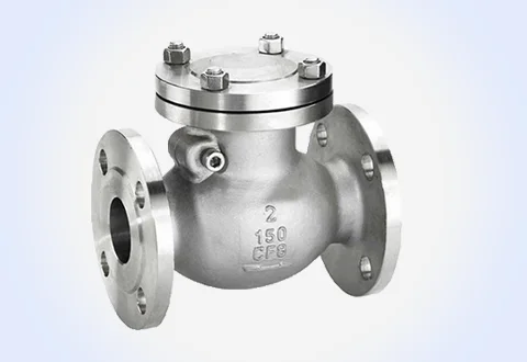 KSB Swing Check Valve Supplier in India