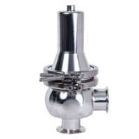 Clean Steam Safety Valve Supplier in India