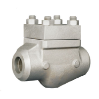 Lift Check Valve Supplier in India